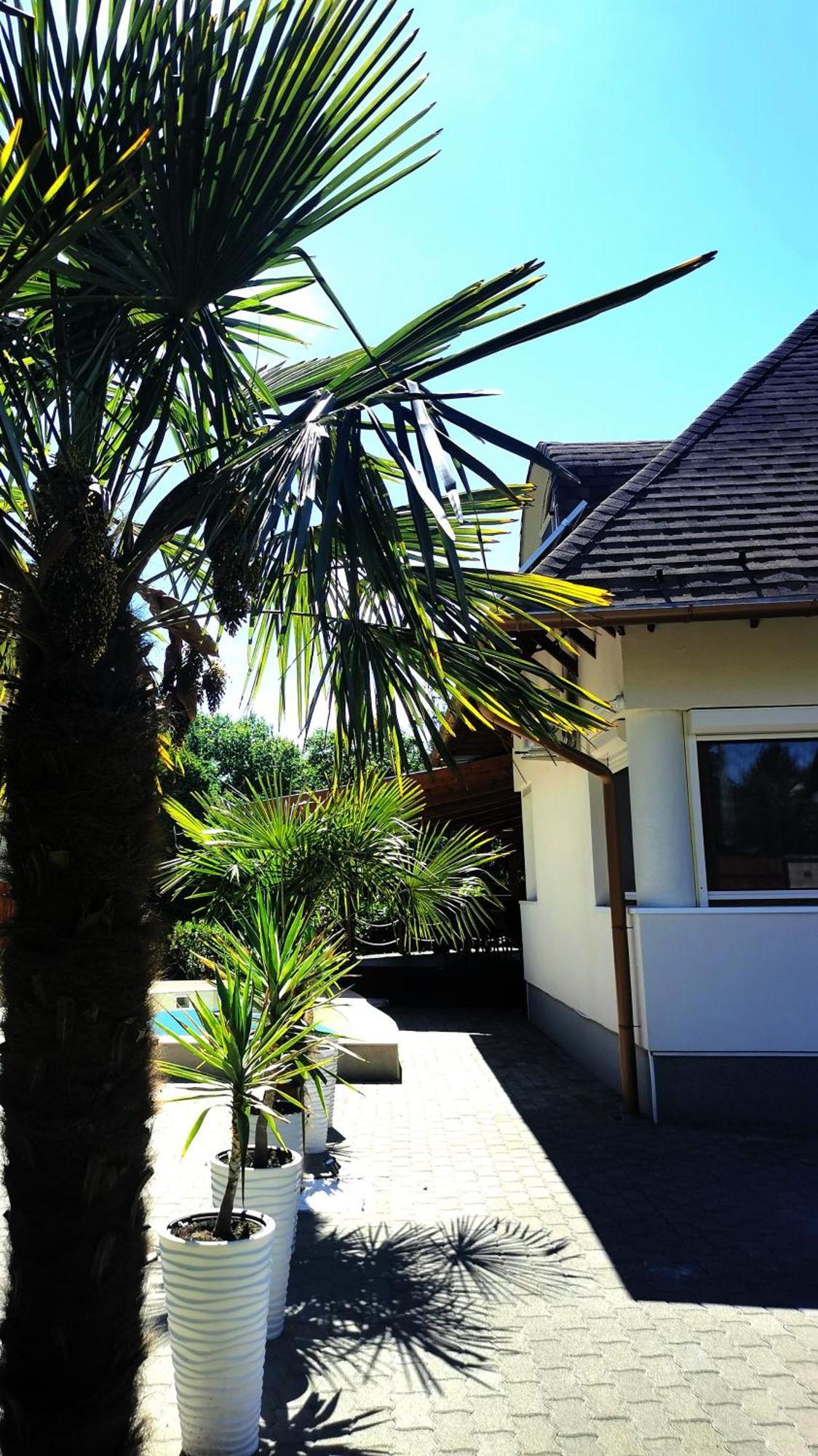 House4U Villa Balatonszárszó Exteriör bild